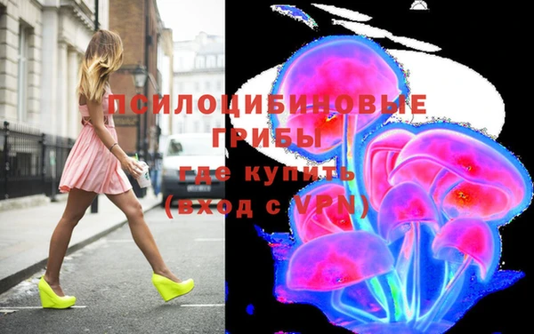 мяу мяу кристалл Арсеньев