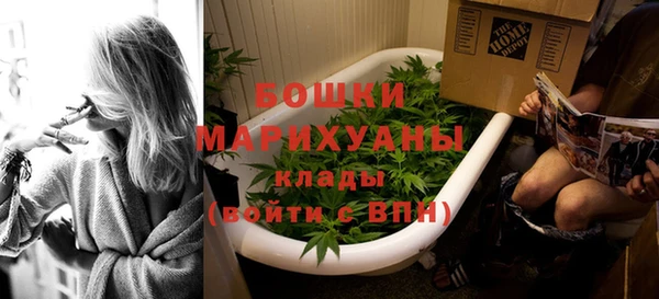 спайс Баксан