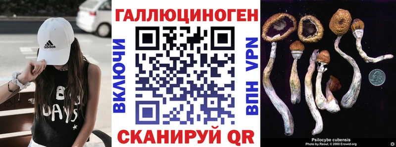 shop клад  Таруса  Галлюциногенные грибы ЛСД 